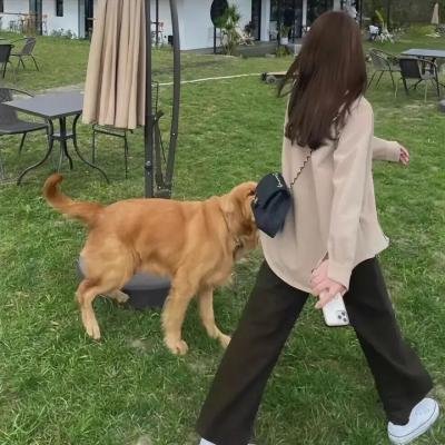 上头姐妹